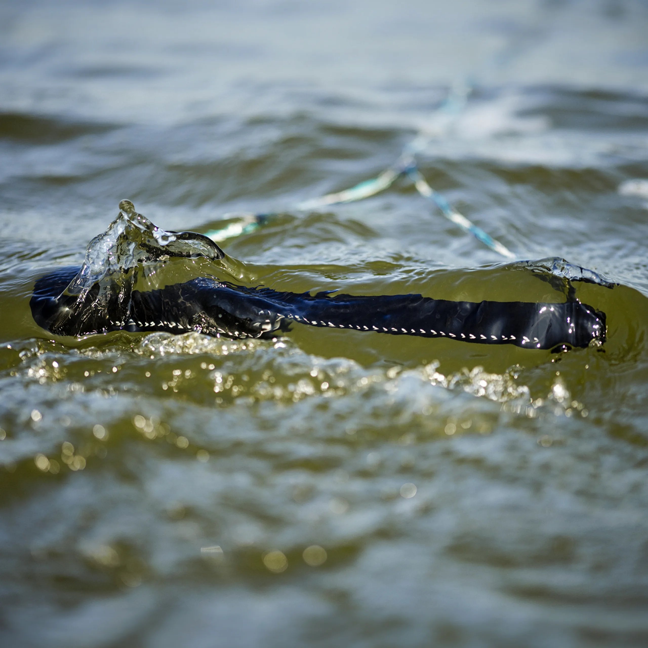Follow Team Wakeboard Rope & Handle - Teal/Hex - action photo