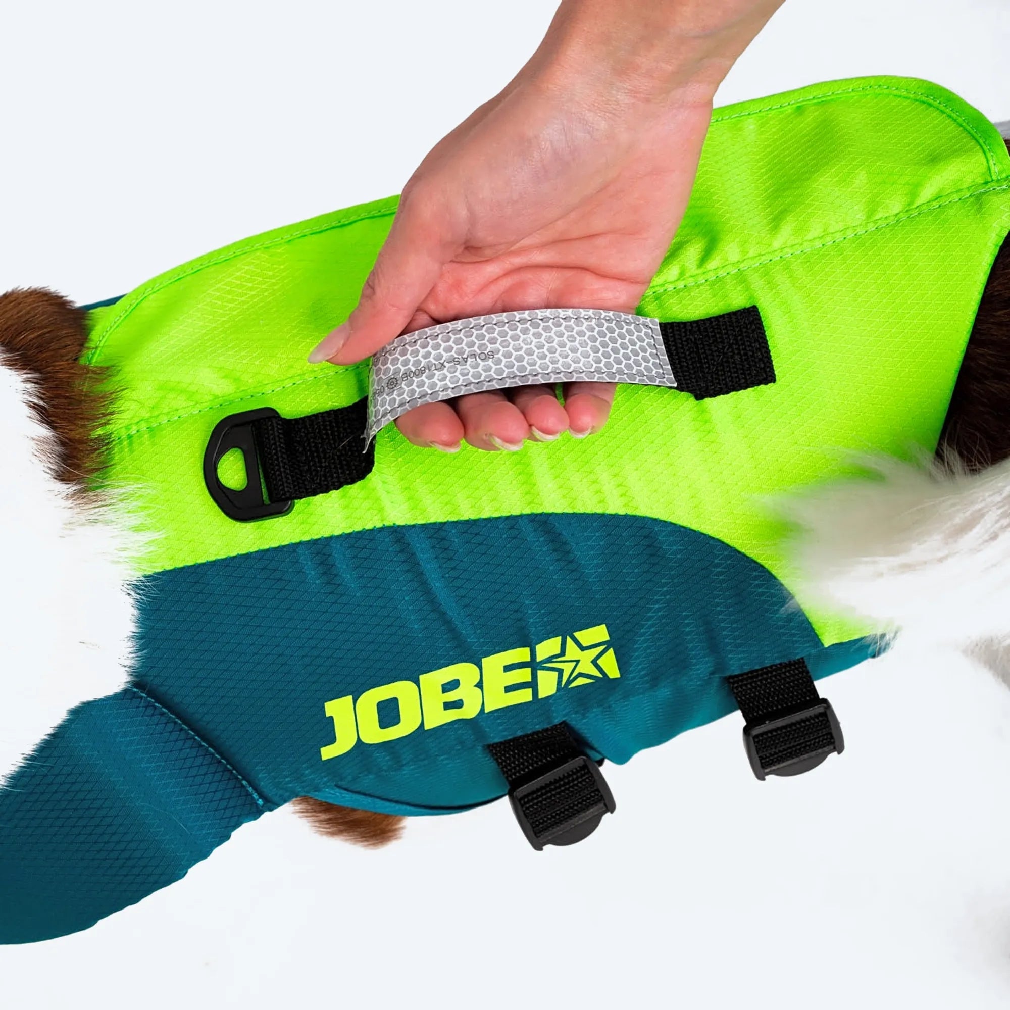 Jobe 2025 Pet Life Jacket - Lime Teal