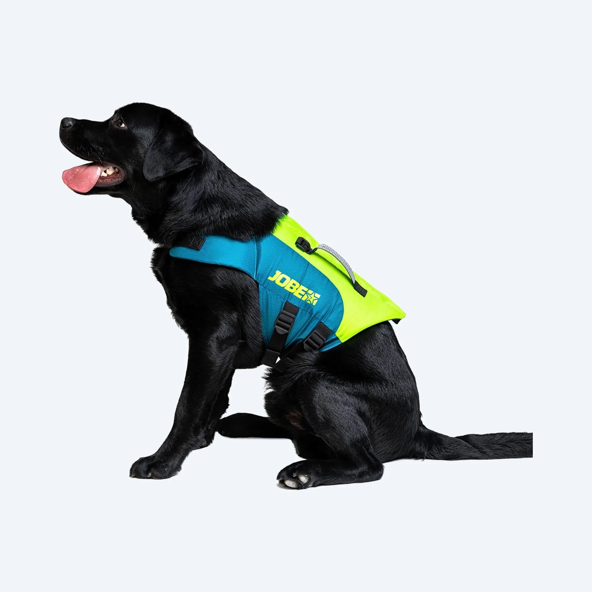 Jobe 2025 Pet Life Jacket - Lime Teal