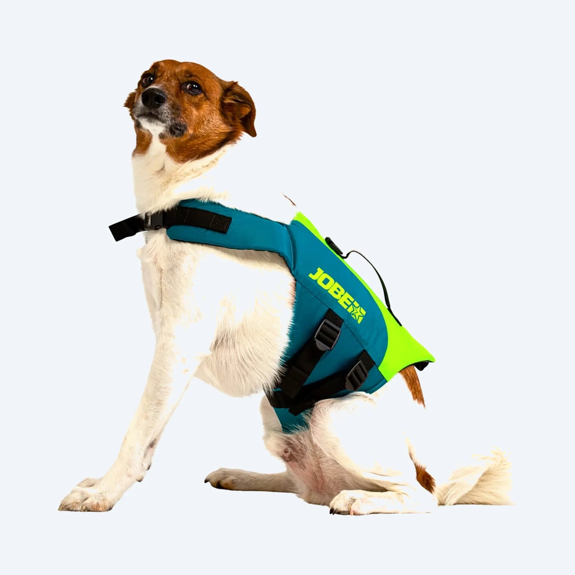 Jobe 2025 Pet Life Jacket - Lime Teal
