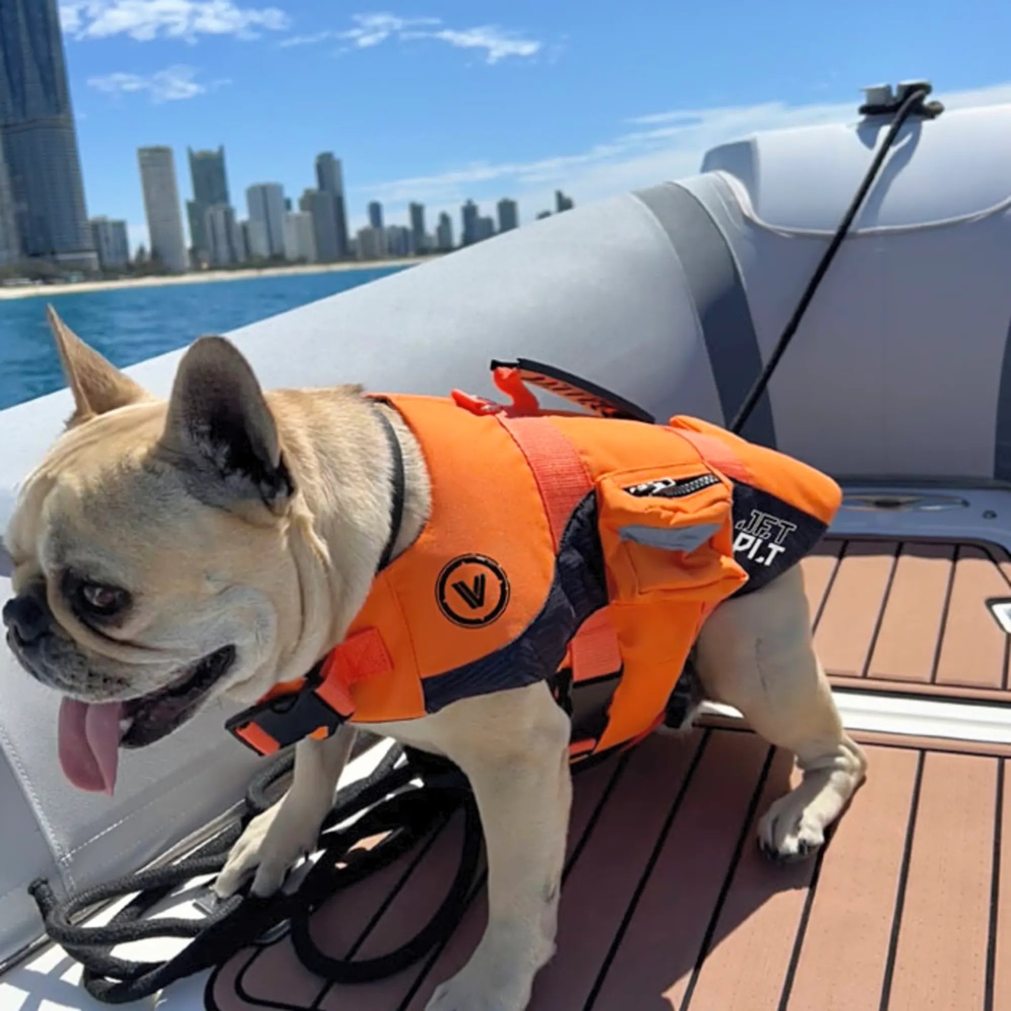 Jetpilot 2024 Venture Dog PFD - Orange